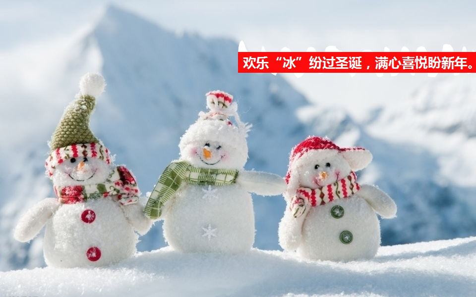2017光大锦绣山河圣诞主题公园嘉年华策划案【圣诞】.pptx 第2页