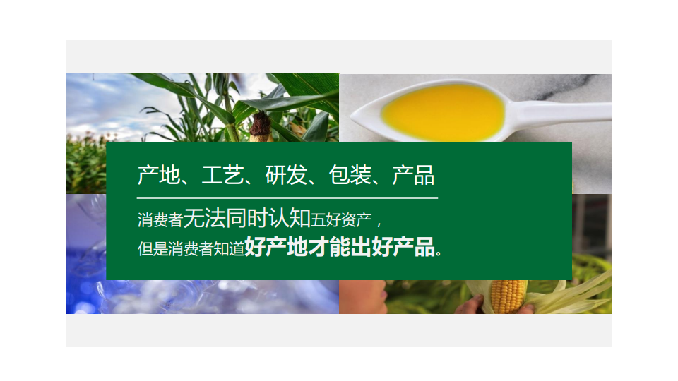 福临门玉米油原料产地整合传播案【快消品】.pdf 第3页