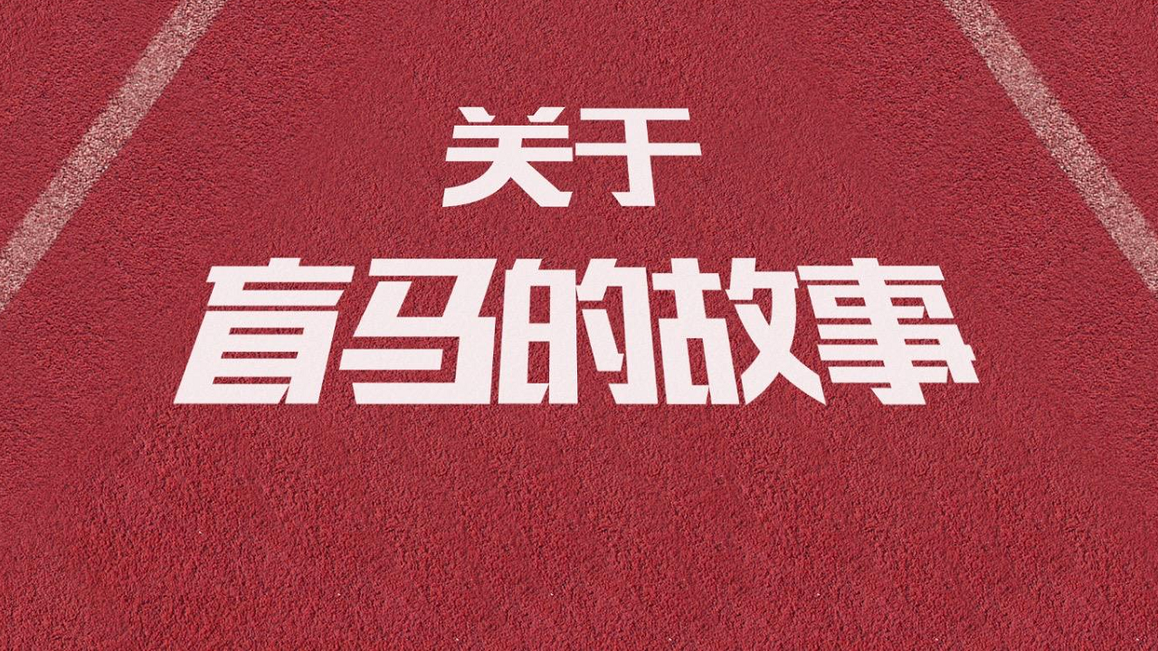 2017《盲马》电影企划推广案【电影】.pdf 第2页