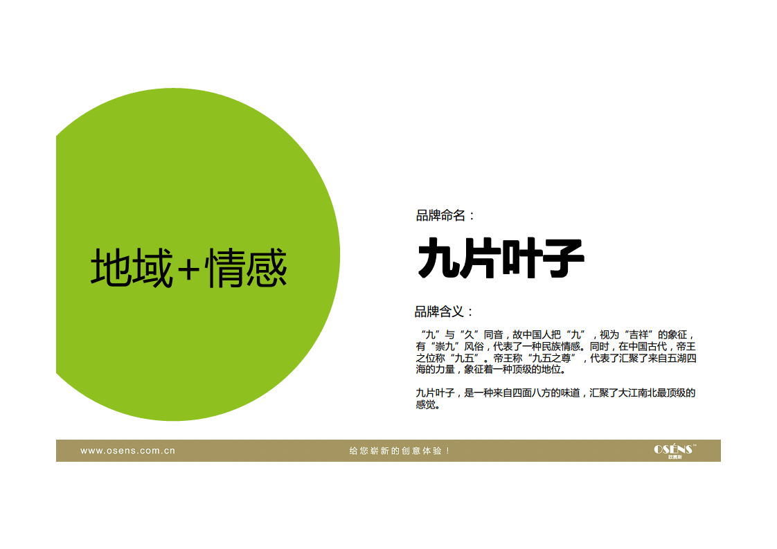 九片叶子品牌定位策划-欧赛斯【快消品】.pdf 第3页