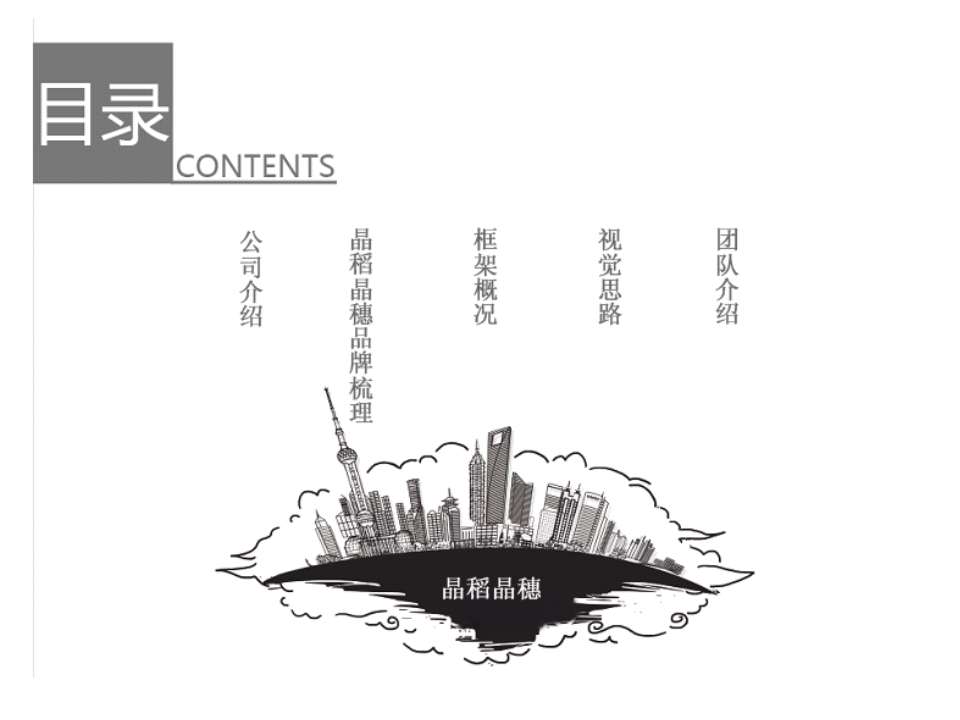 晶稻晶穗品牌设计规划手册-欧赛斯【快消品】.ppt 第3页