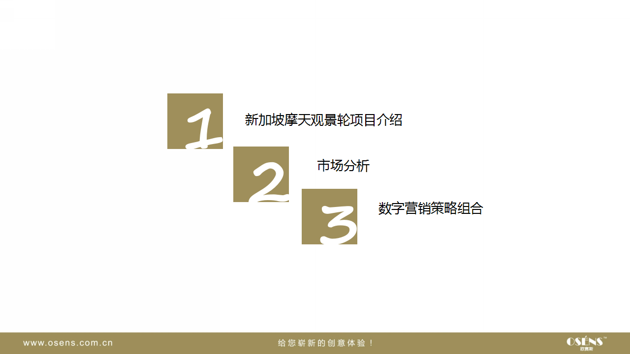 新加坡摩天观景轮游乐场娱乐行业网络数字营销推广方案-欧赛斯【旅游】.ppt 第2页