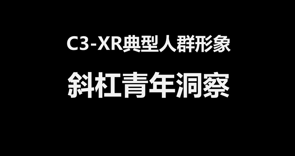 2016东风雪铁龙新媒体传播方案-花椒【汽车】.pdf 第3页