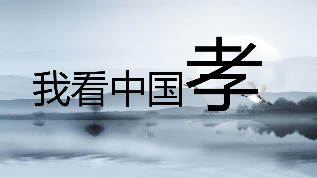 中兴D-M新品上市网络传播方案【手机】.pdf 第2页