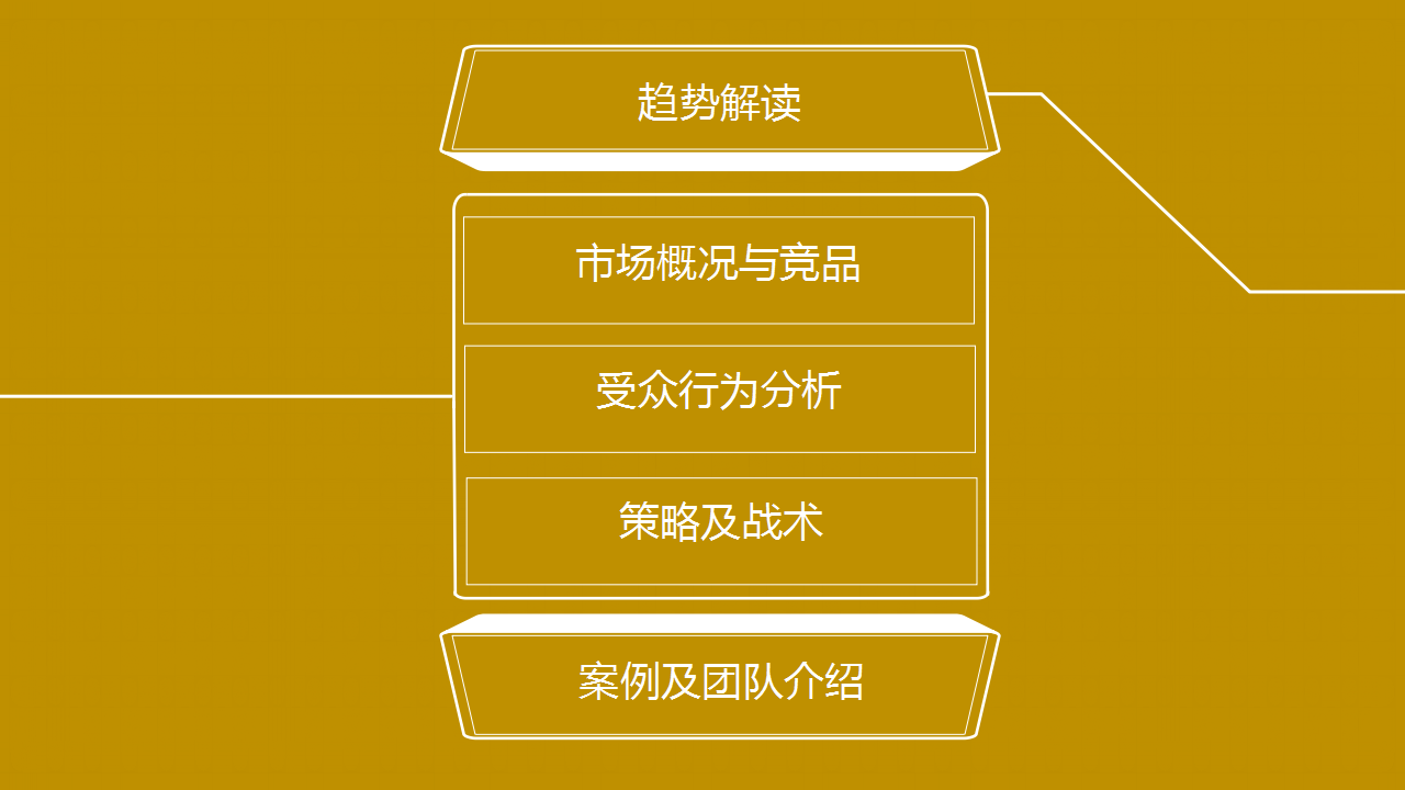 我心中的小粮田-中粮电商提案【快消品】.ppt 第3页