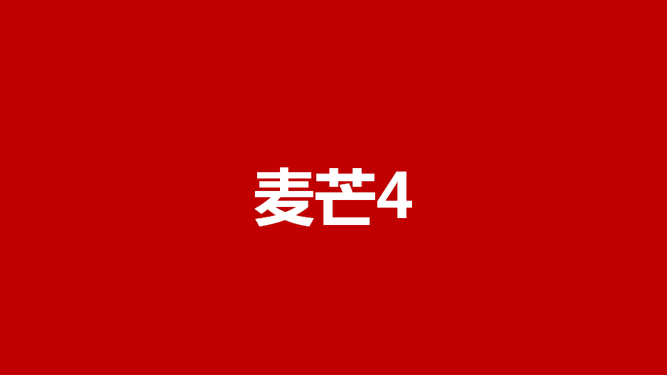 华为Rio手机上市创意方案-奥美【手机】.pptx 第2页