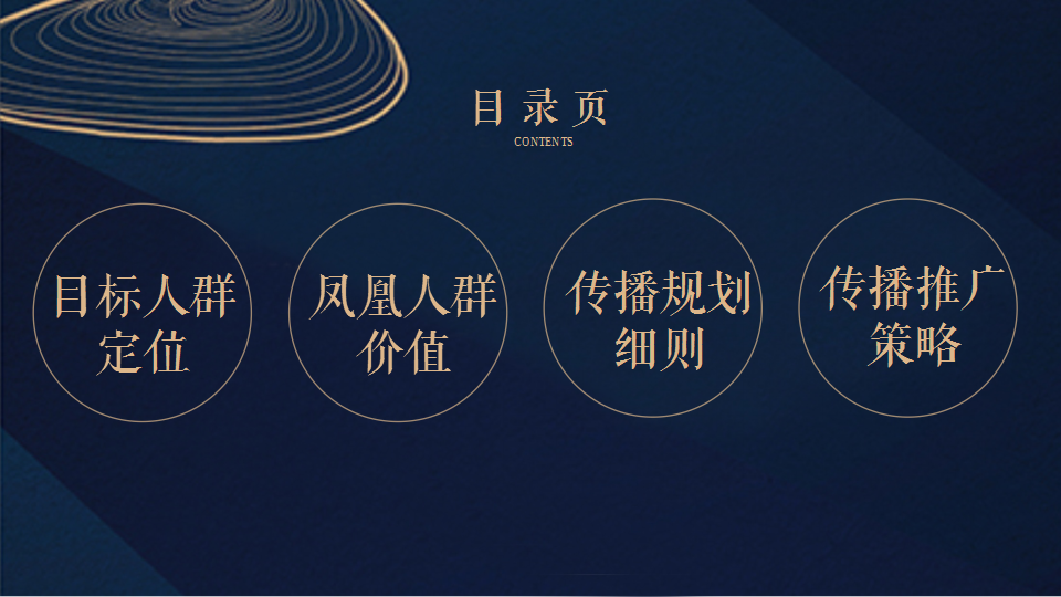 2017九仙尊凤凰网整合营销策划案【医药美容】.pptx 第2页