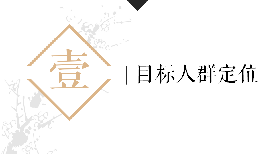 2017九仙尊凤凰网整合营销策划案【医药美容】.pptx 第3页