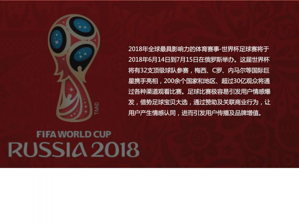 2018世界杯足球宝贝大选(台州赛区)招商方案【发布会】.ppt 第3页