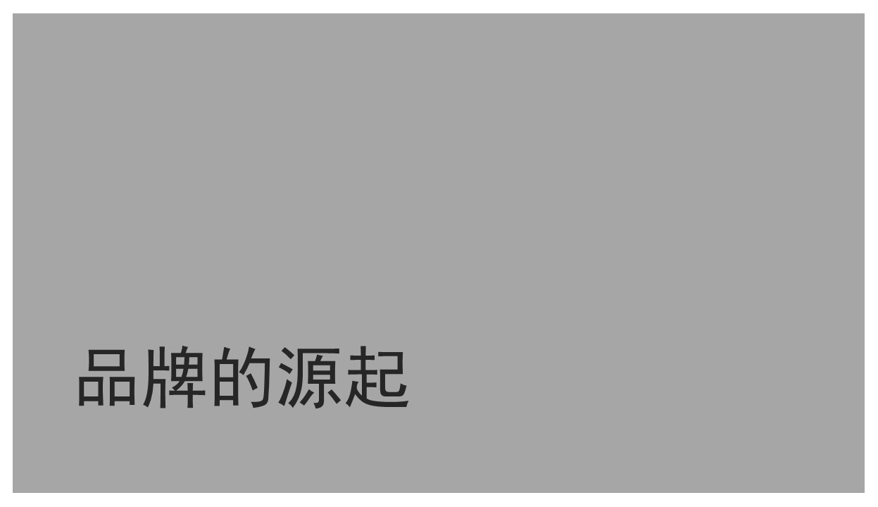 2015奥美整合行销传播集团内部绝密培训-品牌策略.pdf 第2页