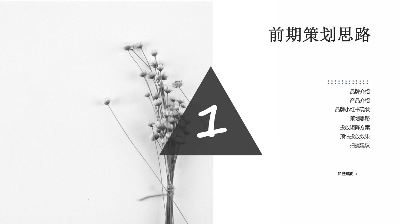 2018碧生源10月小红书结案【快消品】.pptx 第3页
