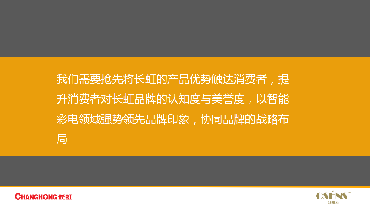 2017年长虹年度数字营销【家电】.ppt 第3页