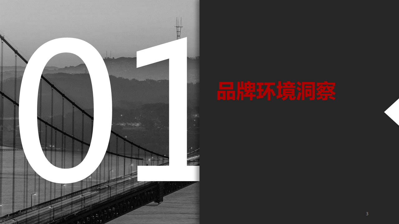 2017招商银行信用卡社会化品牌传播策略【金融】.pdf 第3页
