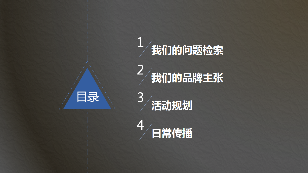 2016伊美尔品牌重塑方案【医药美容】.pptx 第2页