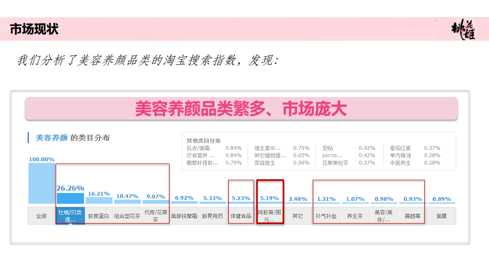 2016桃花姬年度传播方案-蓝标【医药美容】.pdf 第3页