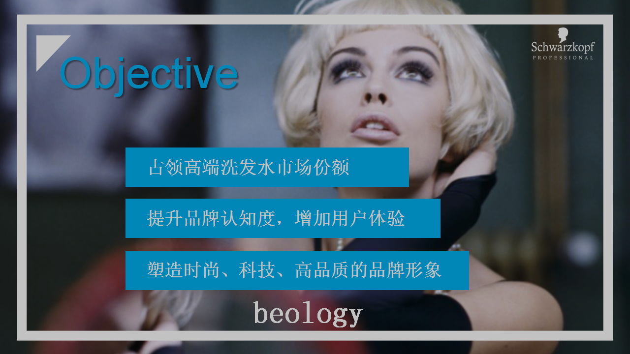 2017施华蔻新产品BEOLOGY上市营销活动方案【快消品】.pptx 第3页