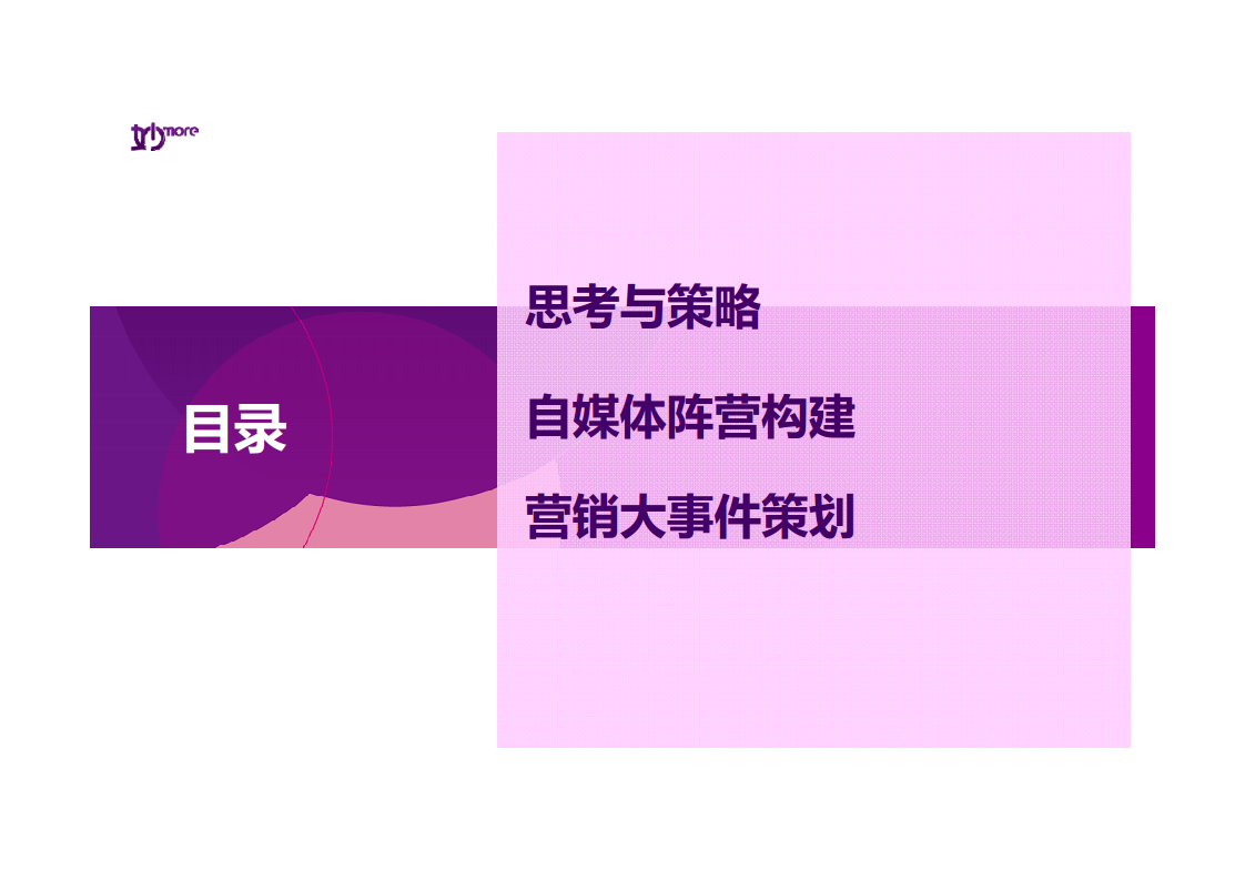 2016妙品牌社会化媒体传播方案【医药美容】.pdf 第2页