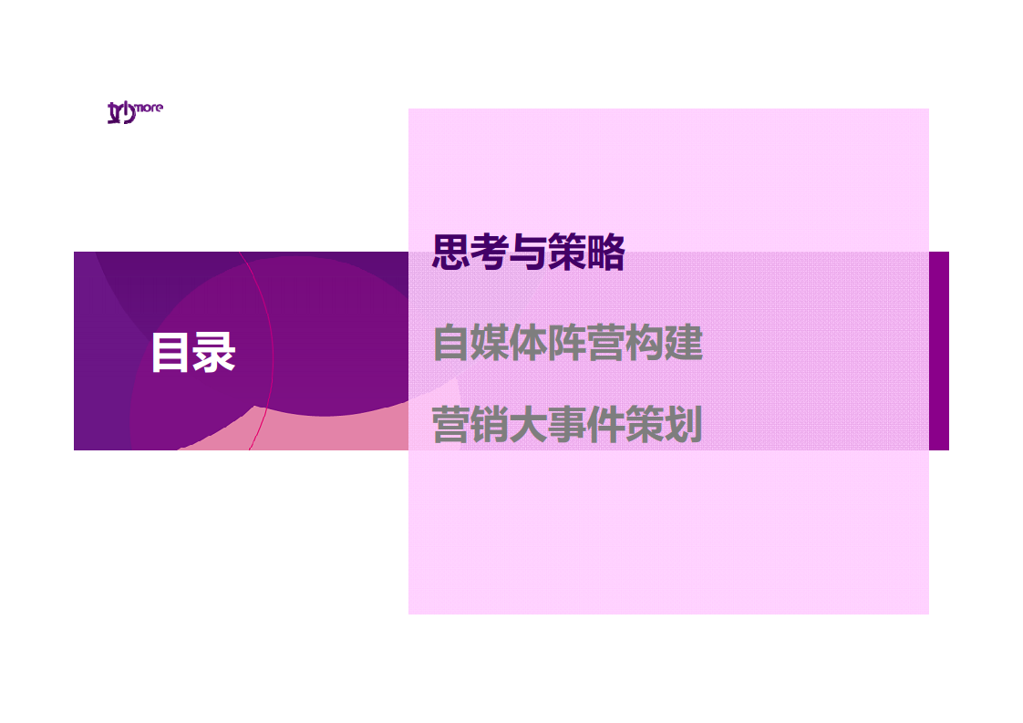 2014妙品牌社会化媒体传播方案-蓝标【医药美容】.pdf 第3页