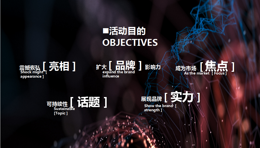 2018海亮城市天地商业亮灯仪式暨黑鸭子明星演唱会方案.ppt 第2页