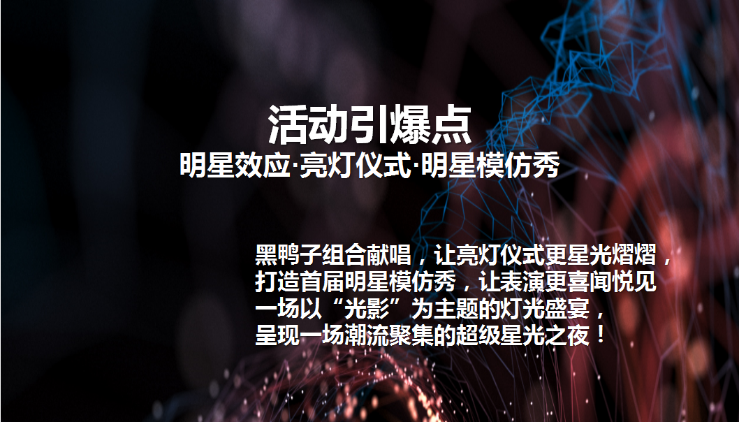 2018海亮城市天地商业亮灯仪式暨黑鸭子明星演唱会方案.ppt 第3页