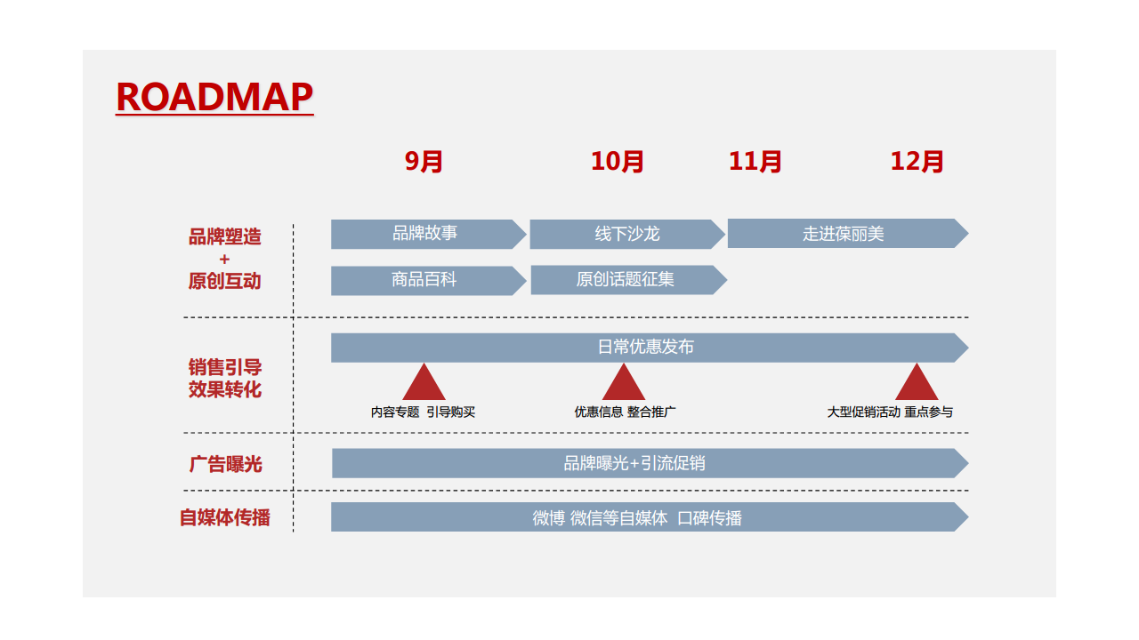 2016葆麗美-莎莎网-什么值得买合作推广方案.pdf 第3页