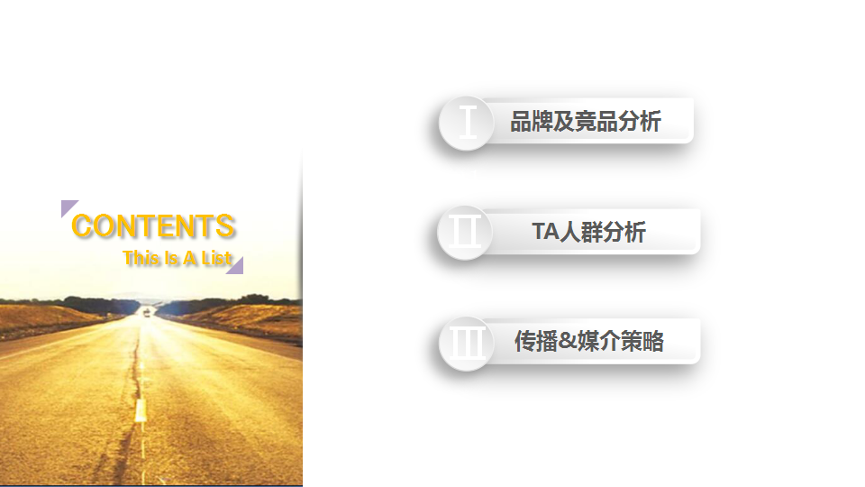 2016-2017年度金融类品牌宣传整合营销策划方案【金融】.pptx 第2页