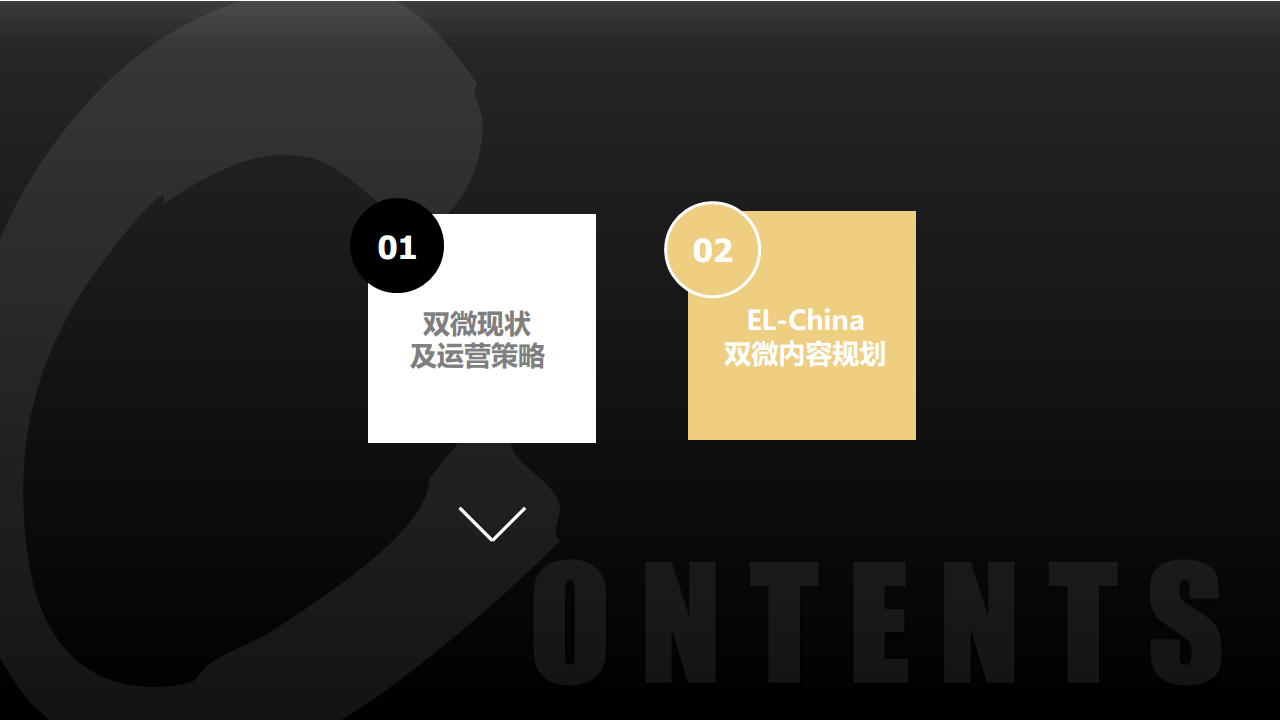 2017雅诗兰黛中国-双微运营方案【美妆护肤】.pdf 第3页