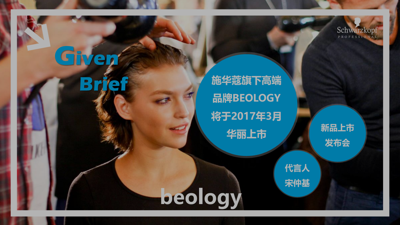2017施华蔻新产品BEOLOGY上市营销活动方案【美妆护肤】.pdf 第2页