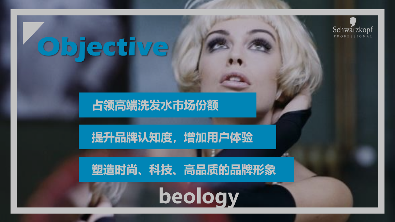 2017施华蔻新产品BEOLOGY上市营销活动方案【美妆护肤】.pdf 第3页