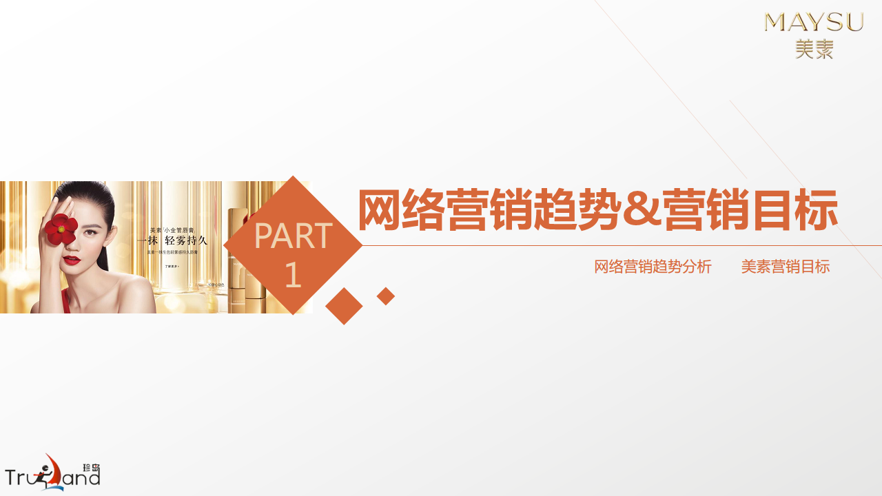 2017美素化妆品互联网整合营销方案【美妆护肤】.pdf 第3页