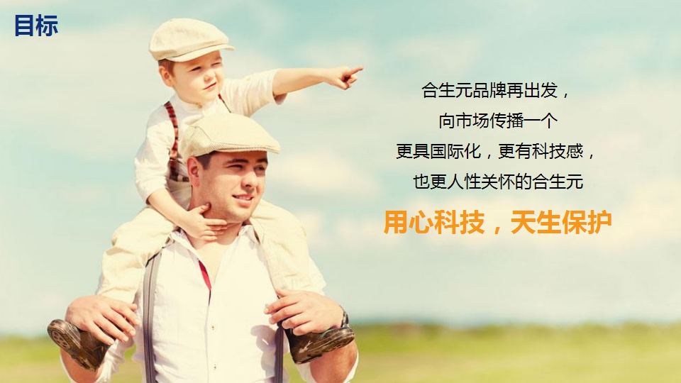 2017合生元数字营销【快消品】.pptx 第2页