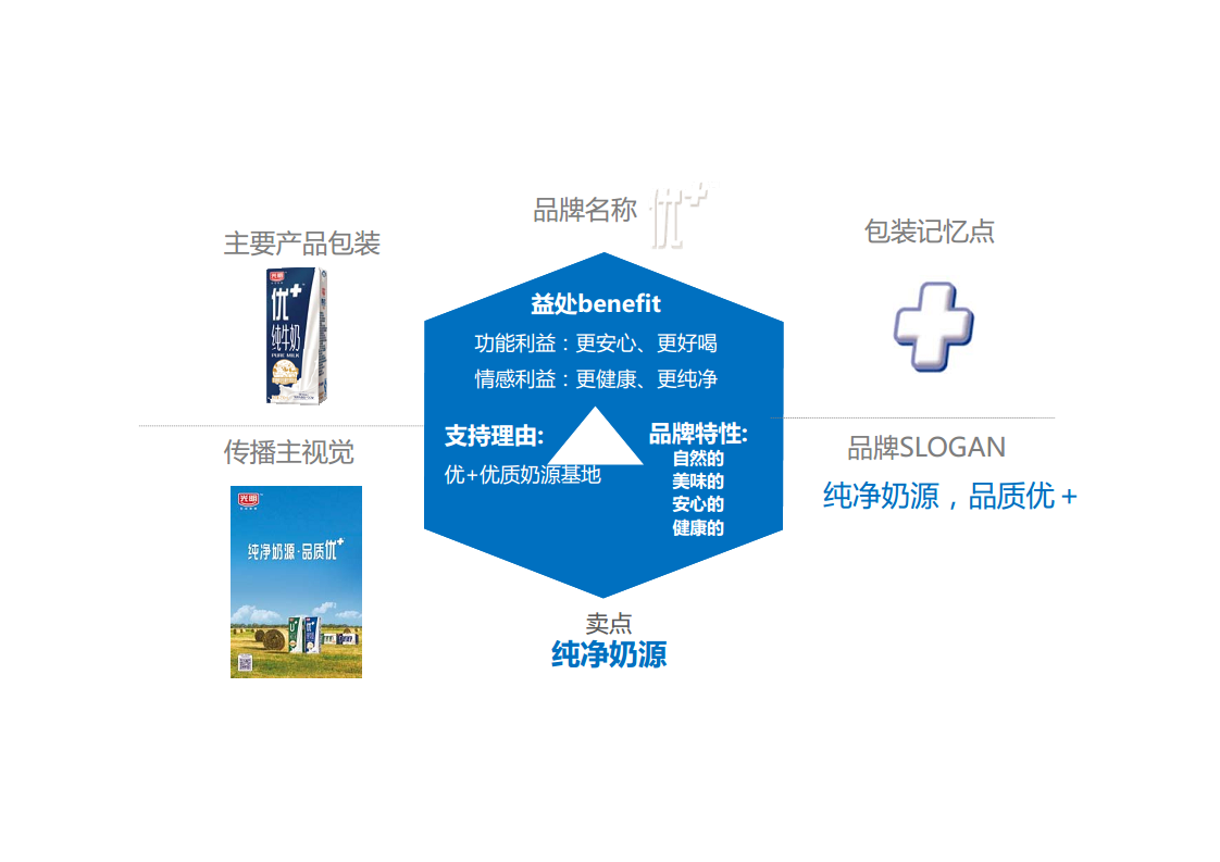 2017光明牛奶优+传播策略【快消品】.pdf 第2页