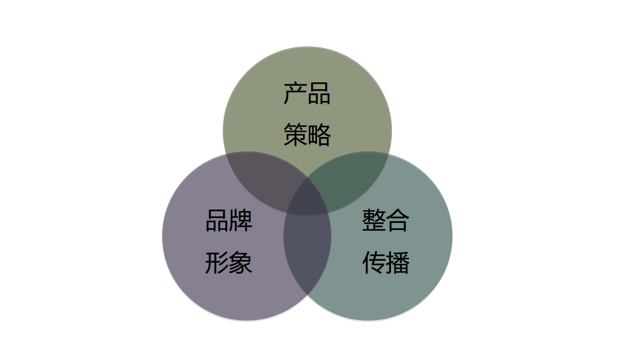 2017高姿整合营销战略【美妆护肤】.pdf 第2页