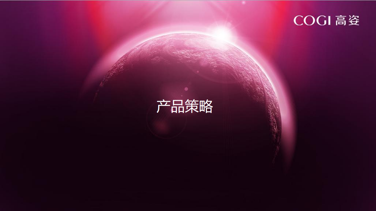 2017高姿整合营销战略【美妆护肤】.pdf 第3页