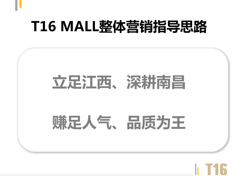2017年第一季度南昌T16 MALL营销方案.pdf 第2页
