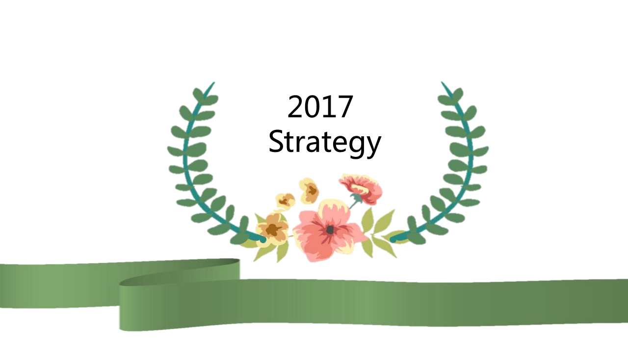 2017百雀羚media plan-Onlylady【美妆护肤】.pdf 第3页