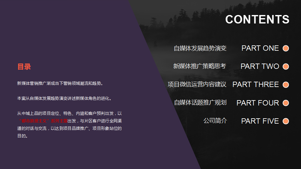 2016中城上品全网互动营销方案.pptx 第2页