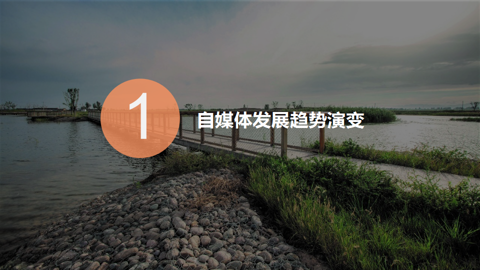 2016中城上品全网互动营销方案.pptx 第3页