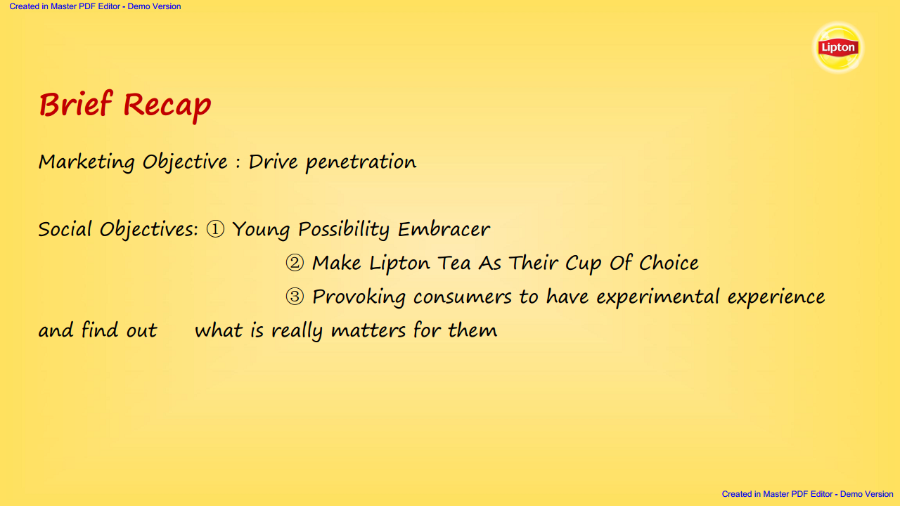 2017Lipton Social Campaign Plan【快消品】.pdf 第2页