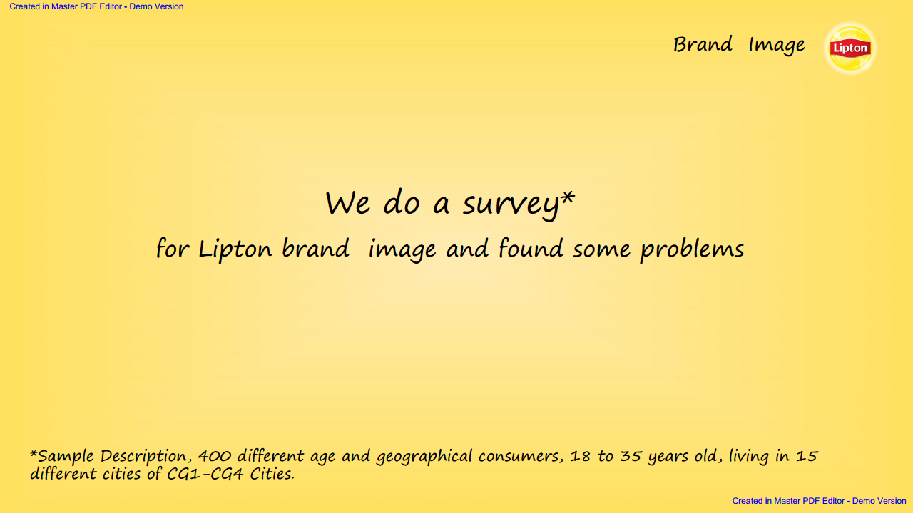 2017Lipton Social Campaign Plan【快消品】.pdf 第3页