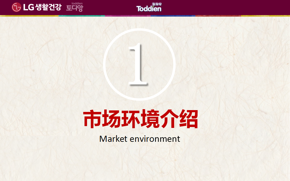 2017LG淘淘安系列产品互联网营销规划【快消品】.pptx 第2页