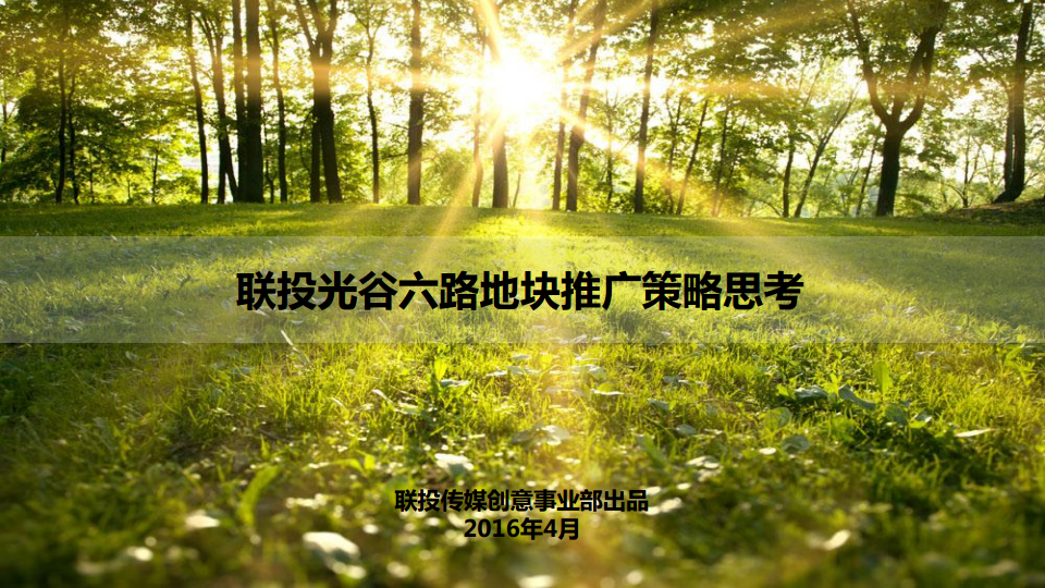 2016联投光谷六路地块推广策略-联投传媒.pdf 第2页