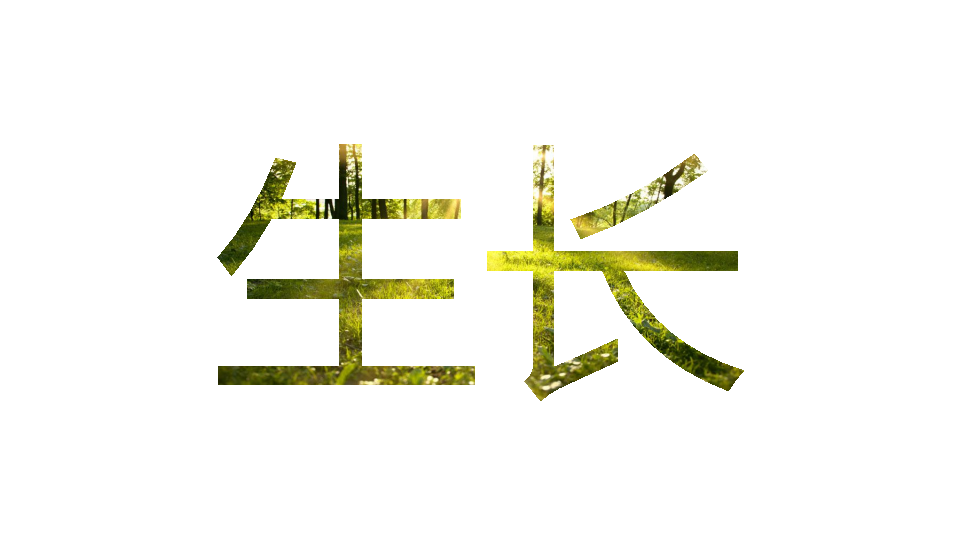 2016联投光谷六路地块推广策略-联投传媒.pdf 第3页
