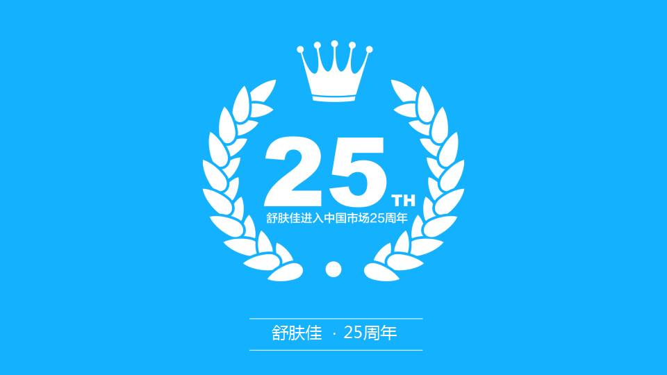 2016舒肤佳天猫平台MAM促销计划【快消品】.pptx 第3页