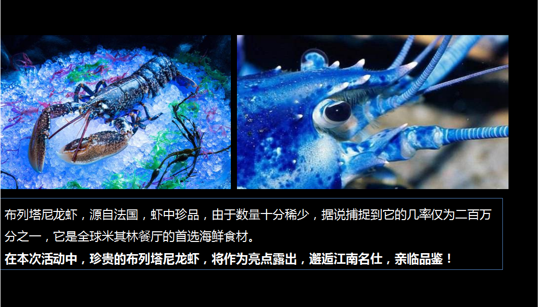 2018慈溪江南大院私享龙虾宴策划案.pptx 第2页