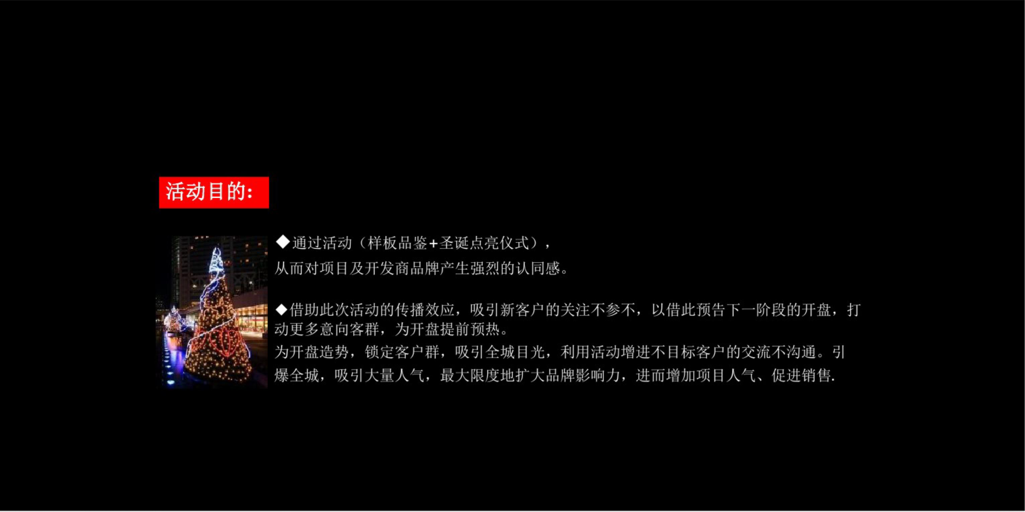 宜春奉新县滨河壹号圣诞样板品鉴会活动方案.pptx 第3页