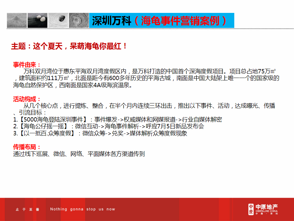 事件活动营销成功案例.pptx 第3页