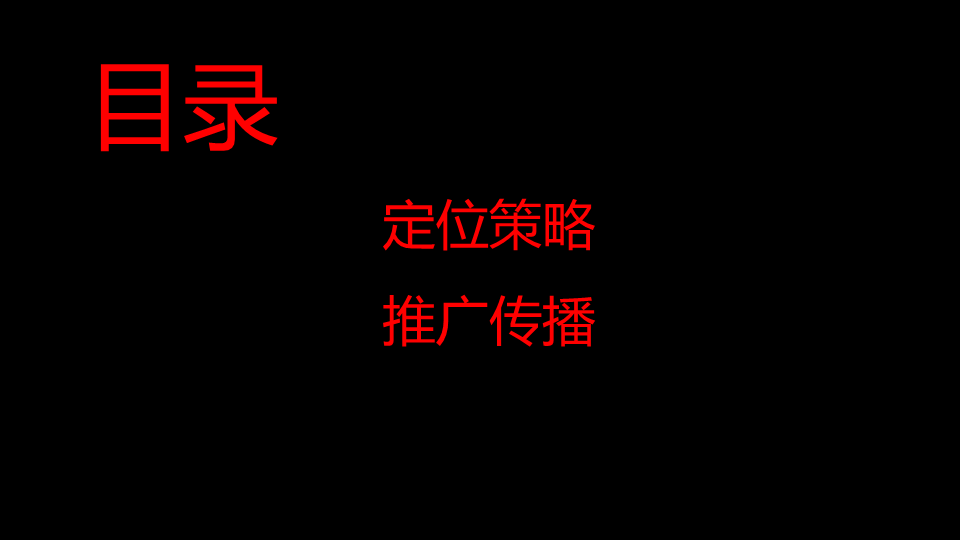海口华彩海港城定位传播提报.pdf 第2页