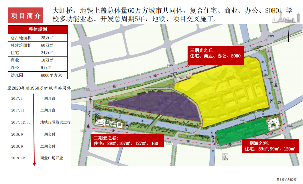 2017万科天空之城年度营销策略.pdf 第3页