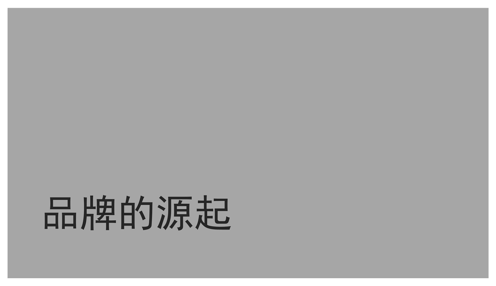 奥美-内部绝密培训-整合行销传播集团品牌策略 第2页